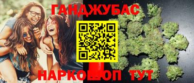 стаф Малгобек