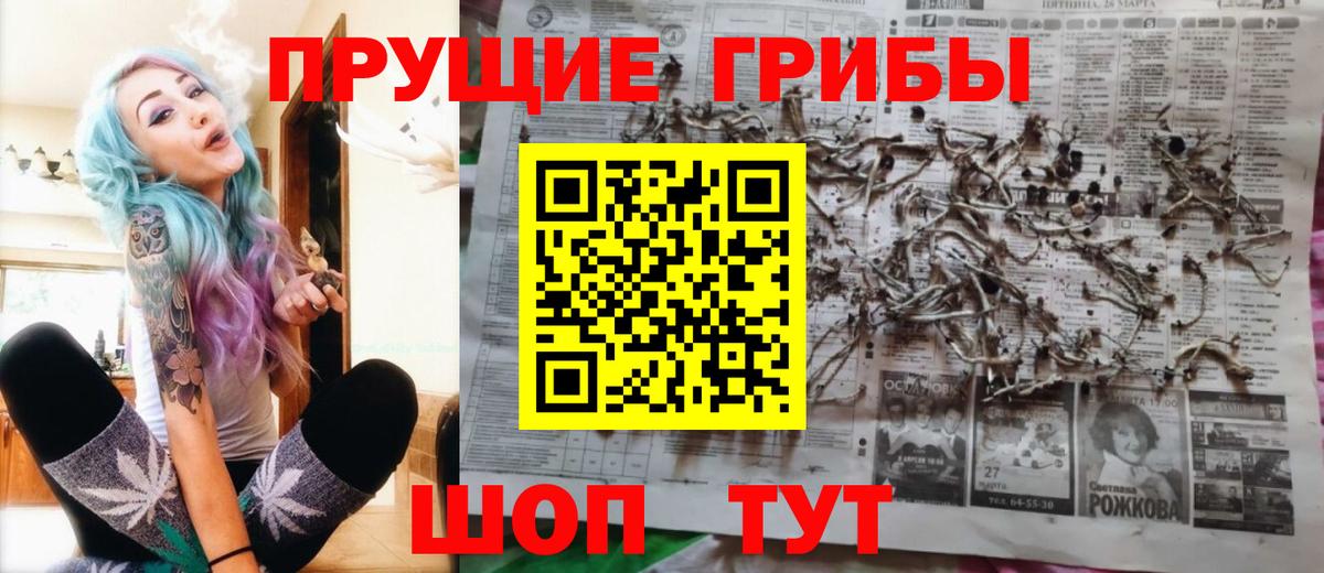Псилоцибиновые грибы Cubensis Реж