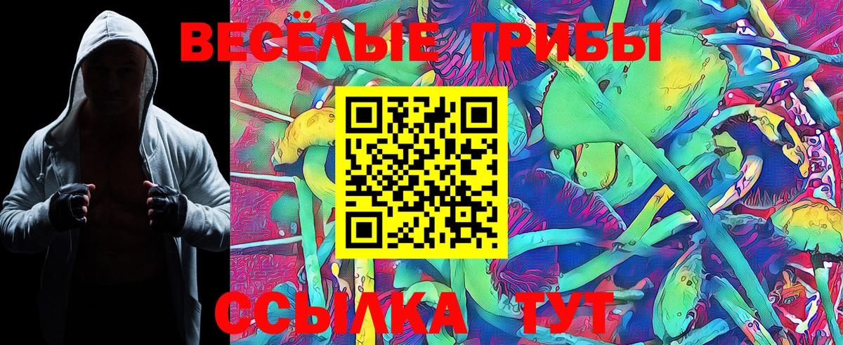 Реж  Псилоцибиновые грибы GOLDEN TEACHER  Вход с VPN  Псилоцибиновые грибы GOLDEN TEACHER 